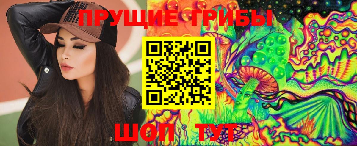 Белореченск  Галлюциногенные грибы Cubensis  Вход с VPN 